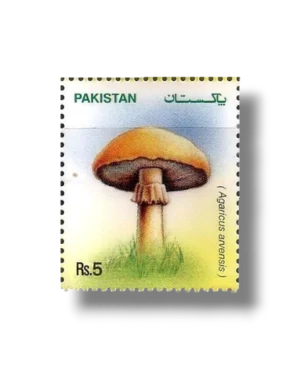 Mushrooms