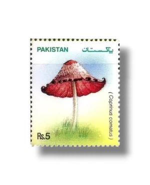 Mushrooms