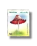 Mushrooms