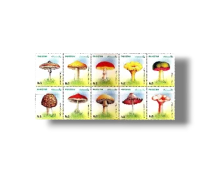 Mushrooms