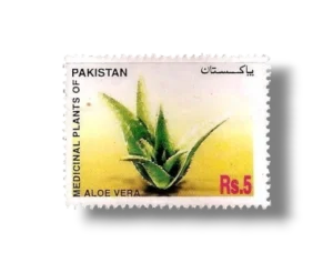 Medicinal Plants of Pakistan Aloe Vera