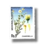 Medicinal Plants of Pakistan Chamomilla