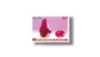 Gems and Minerals of Pakistan Ruby