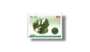 Gems and Minerals of Pakistan Peridot