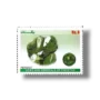 Gems and Minerals of Pakistan Peridot