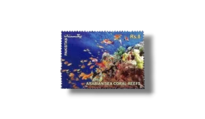 The Arabian Sea Coral Reefs