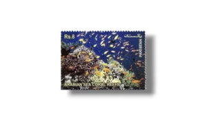 The Arabian Sea Coral Reefs