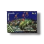 The Arabian Sea Coral Reefs