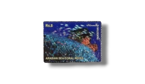 The Arabian Sea Coral Reefs