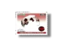 Gems and Minerals of Pakistan Vesvaunite