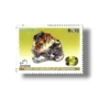 Gems and Minerals of Pakistan Sphene