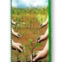 Environmental Program Green Pakistan