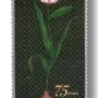 2023 PK1709 75 Years of Diplomatic Relations with the Netherlands