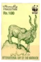 World Wildlife Fund : Day of the Markhor (Capra falconeri)