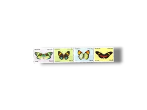 Butterflies