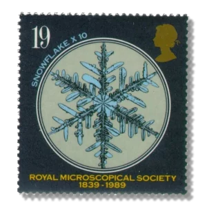 Snowflake (x10)