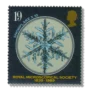 Snowflake (x10)