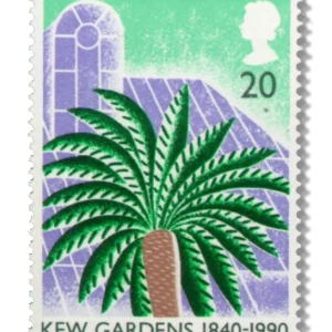 Cycad and Sir Joseph Banks Building