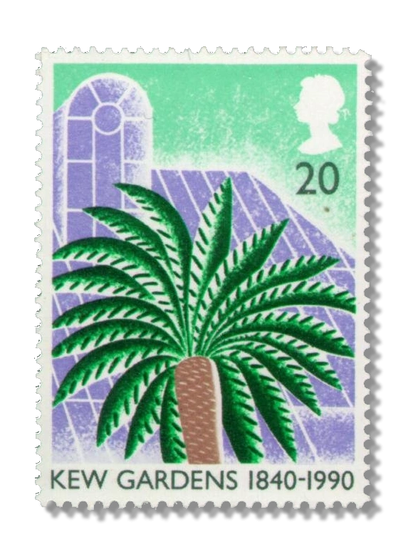 Cycad and Sir Joseph Banks Building