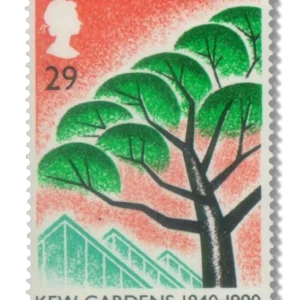Stone Pine and Princess of Wales Conservatory