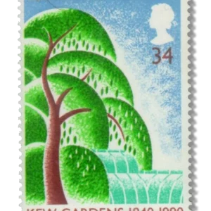 Willow Tree and Palm House