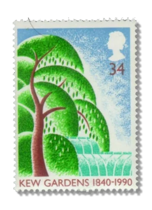 Willow tree and Palm House