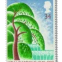 Willow Tree and Palm House