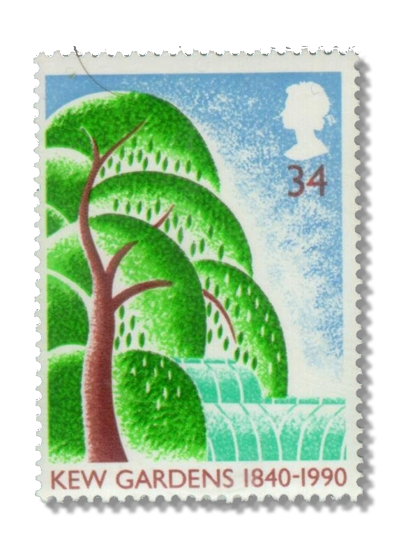 Willow Tree and Palm House