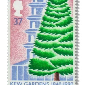 Cedar Tree and Pagoda