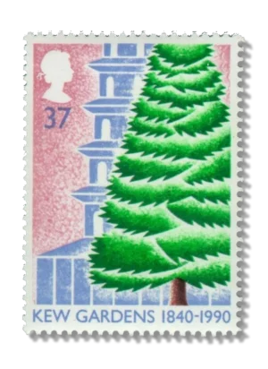 Cedar tree and Pagoda