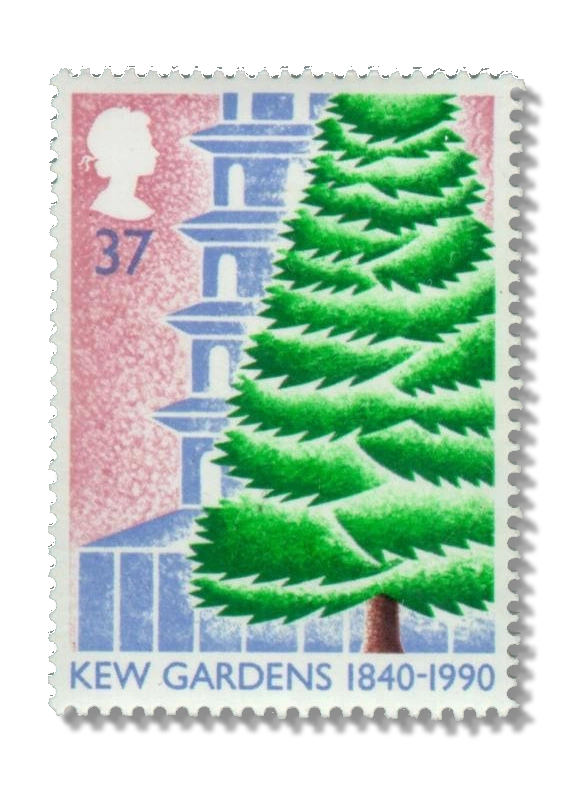 Cedar Tree and Pagoda