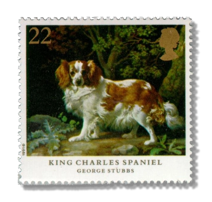 King Charles Spaniel