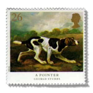 1991 GB1532 English Pointer (Canis lupus familiaris)