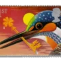River kingfisher with key