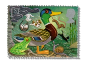 Mallard and frog
