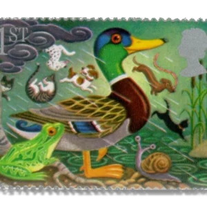 1991 GB1541 Mallard and Frog