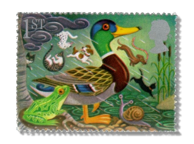 Mallard and frog
