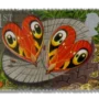Heart-shaped butterflies
