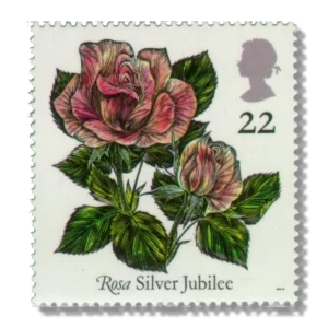1991 GB1568 "Rosa" Silver Jubilee