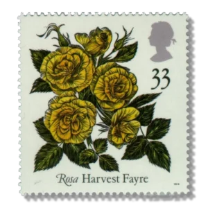 1991 GB1571 Harvest Fayre