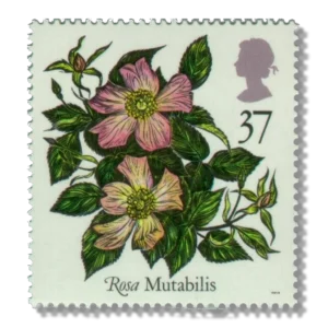 1991 GB1572 Mutabilis
