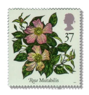 Mutabilis
