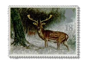 Fallow Deer in Scottish Forest