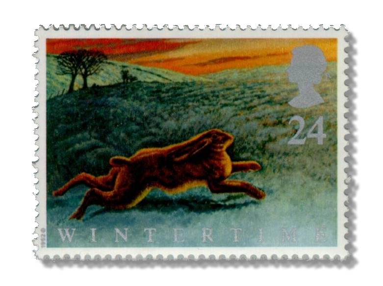 Hare on North Yorkshire moors