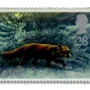 Fox in the Fens