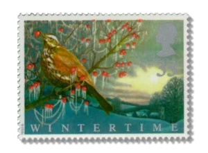 Redwing and Home Counties village
