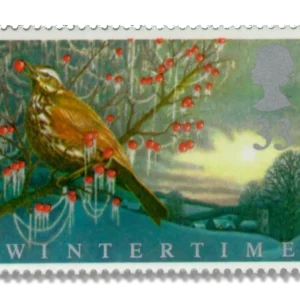 1992 GB1590 Redwing (Turdus iliacus)