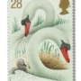 Swans and cygnet