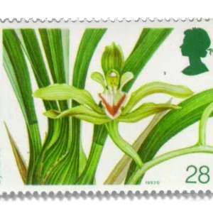 1993 GB1661 Cymbidium lowianum