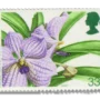 Vanda Rothschildiana